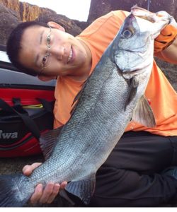 院長の趣味